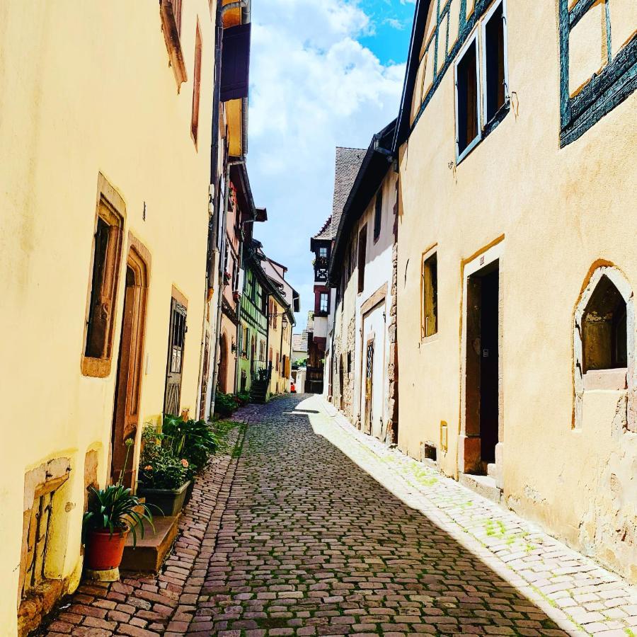 La Ruelle Alsacienne, Charme Alsacien Et Confort Moderne Riquewihr Eksteriør bilde